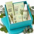 Discover your Noze Bundle - Eucalyptus