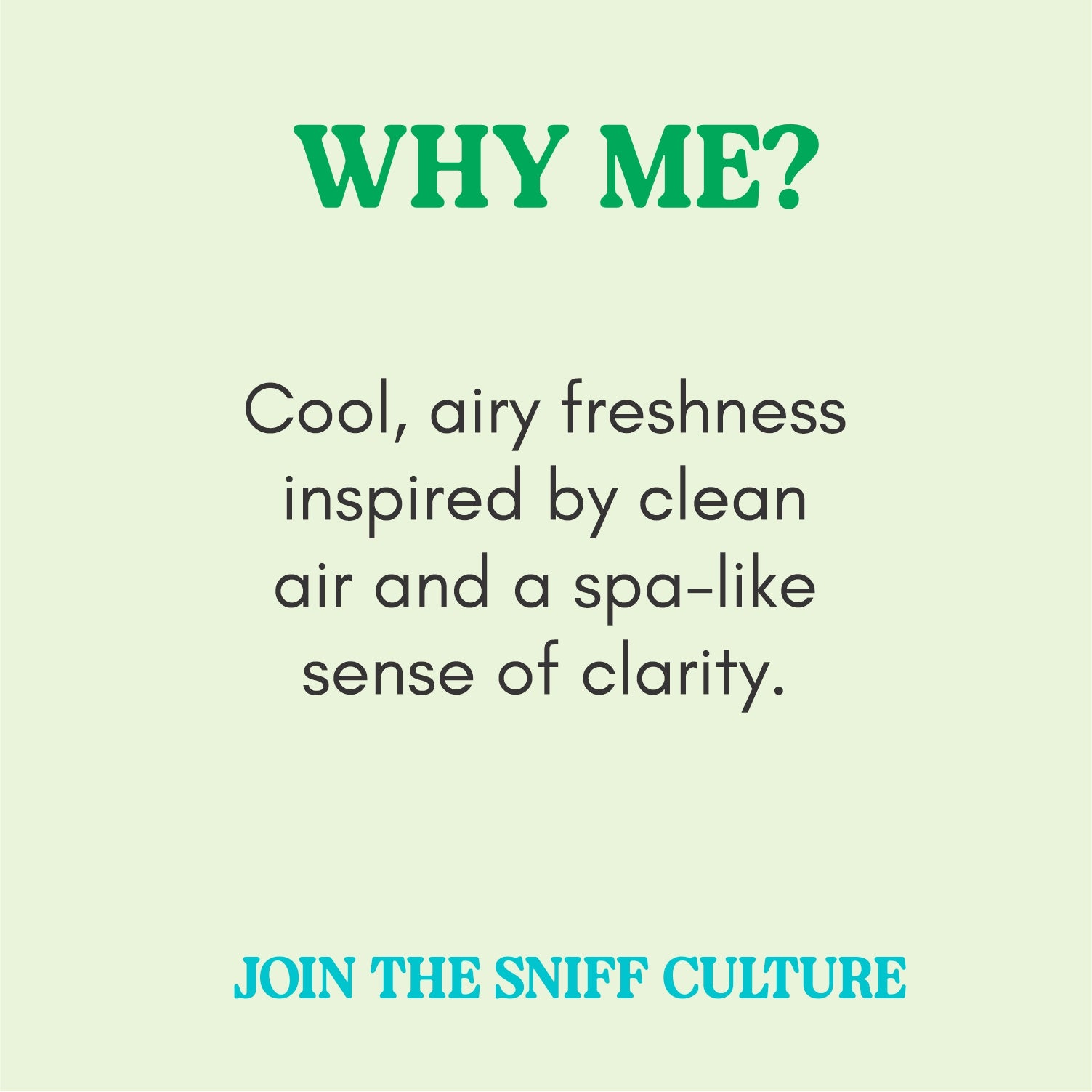 Discover your Noze Bundle - Eucalyptus