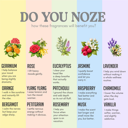 NOZE All 5 Aromatherapy Diffuser Rings collection — premium wearable scent gift set India