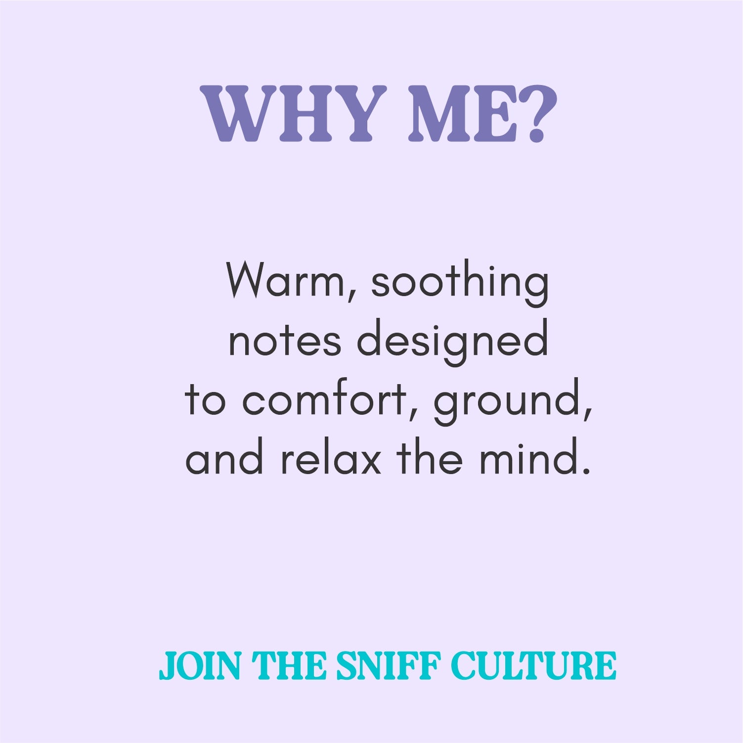 Discover your Noze Bundle - Lavender